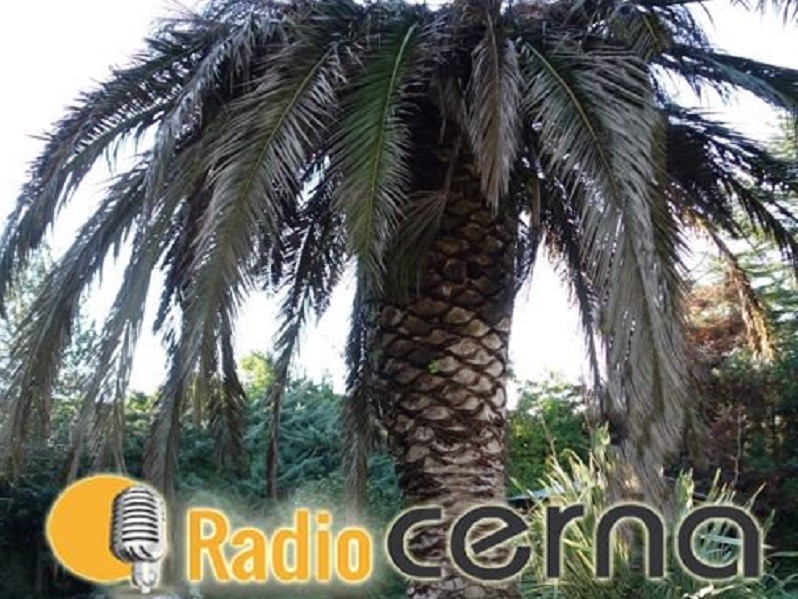 Radio Cerna 13feb2019