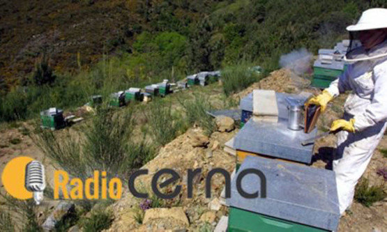 Radio Cerna 19mar18
