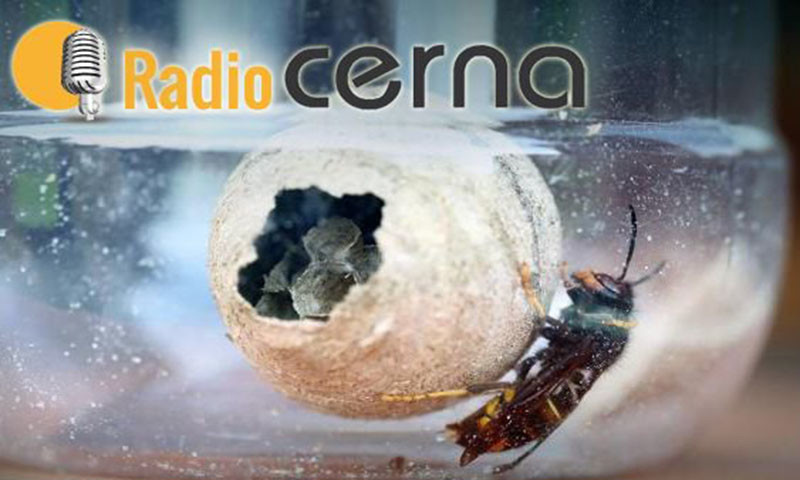 Radio Cerna 22oct2017