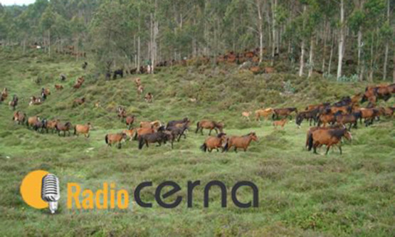 Radio Cerna 05mar2018