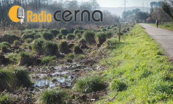 Radio Cerna 31xan2018