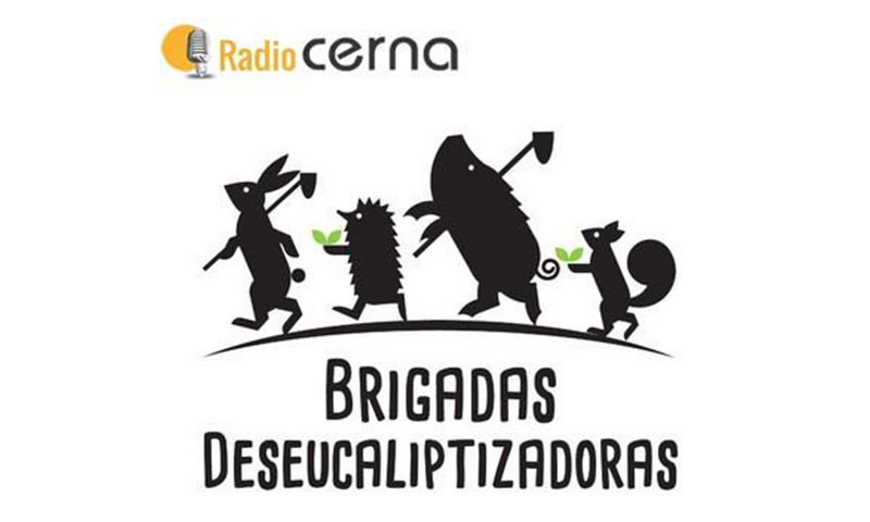 Radio Cerna 18abr2018