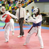  Open Cidade do Lérez de Taekwondo