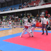 Campeonato Provincial Escolar de Taekwondo 2017