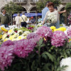 Mercado tradicional de flores na Ferraría