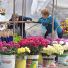 Mercado de flores en la plaza de A Ferrería 2015