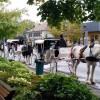 Niagara-on-the-Lake, carros de cabalos