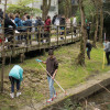 Estudiantes de Pontevedra realizan tareas de limpieza en el río Gafos