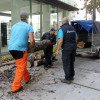 Trabajos para retirar dos árboles de gran porte situados en la entrada del Sexto Edificio