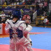 XIX Torneo Internacional Cidade de Pontevedra de Taekwondo