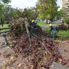 Consecuencias do temporal durante o domingo 4 de outubro en Pontevedra