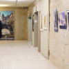 Inauguración de la exposición ‘Camiño. O camiño e as artes’