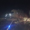 Retirada de árbol caído en la PO-300, en Oubiña