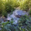 Sumidoiro que provocou a vertedura no río Pintos causando a morte de centos de peixes no Gafos