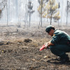 O Seprona investiga o incendio de Tenorio, en Cotobade
