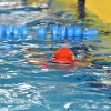 XII Trofeo Promesas do Lérez de natación