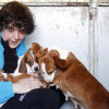 Gloria Cubas, presidenta de la Protectora de animales Os Palleiros