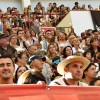 Galería de fotos do Torneo medieval da Feira Franca 2015