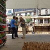 Repartición de plantas e compost na Ferrería