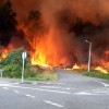 Incendio forestal en Tenorio