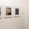Inauguración de la exposición, Hide-and-seek, del artista Page Tsou