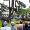Día das Forzas Armadas en Pontevedra