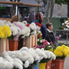 Mercado de flores en la plaza de A Ferrería