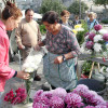 Mercado das Flores na Ferrería