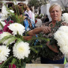 Mercado tradicional de flores na Ferraría