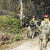 Incendio forestal en Castelo (Lérez)