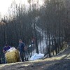 Jornada del sábado en la operación 'mulching' tras los incendios de Ponte Caldelas
