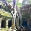 Visita a Cambodia