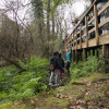 Estudiantes de Pontevedra realizan tareas de limpieza en el río Gafos