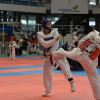 Open Internacional Cidade de Pontevedra de Taekwondo 2015