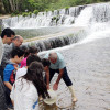 Alumnos do CEIP Cordo Boullosa de Ponte Caldelas soltan mil alevíns de troita no río Verdugo