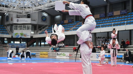 Campeonato de España de Exhibición de Taekwondo en el Pabellón Municipal