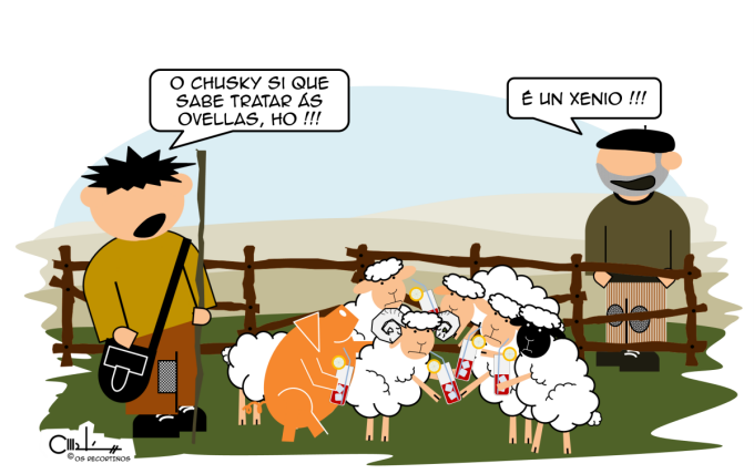 Os Recortiños: Botellón coas ovellas