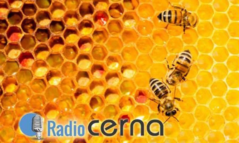 Radio Cerna 07mai2018