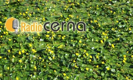 Radio CERNA #19jun2017