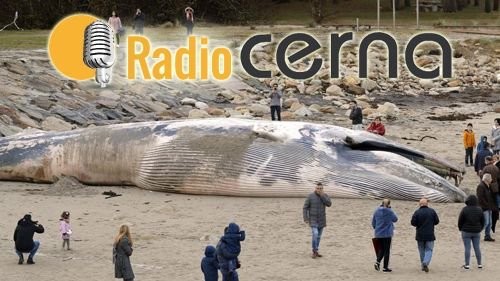 Radio Cerna 28ene2019