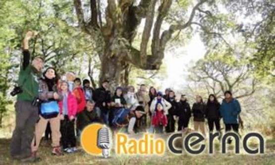 Radio Cerna 19dic2018
