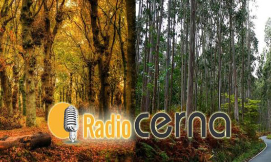 Radio Cerna 10dic2018