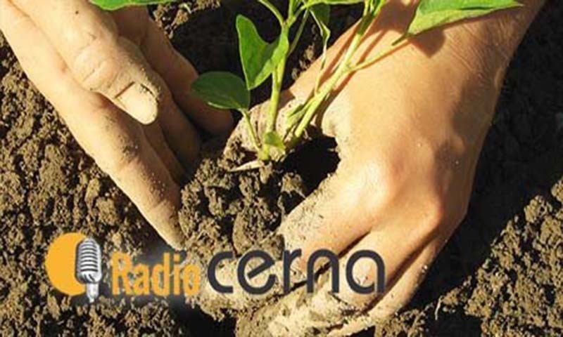 Radio Cerna 04jul2018