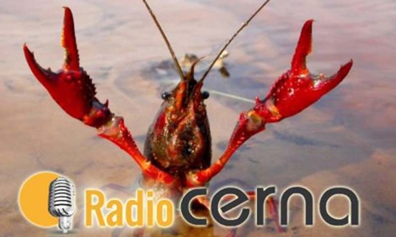 Radio Cerna 17dic2018