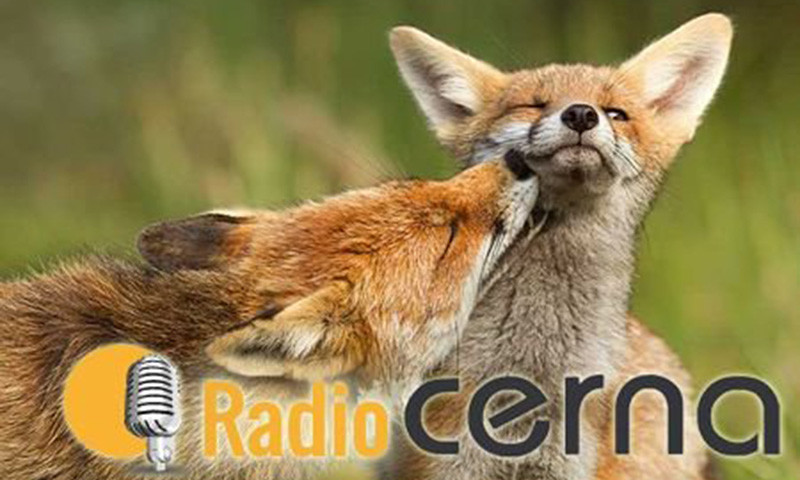 Radio Cerna 12dic2018