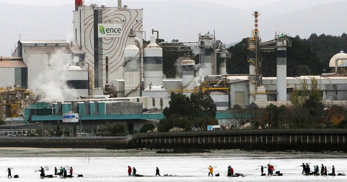 Marisqueo na ría fronte a fábrica de Ence