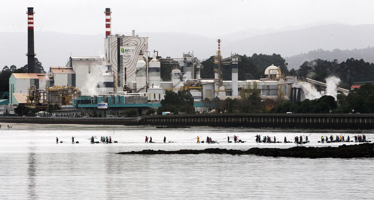 Mariscadoras frente a la fábrica de Ence en Lourizán