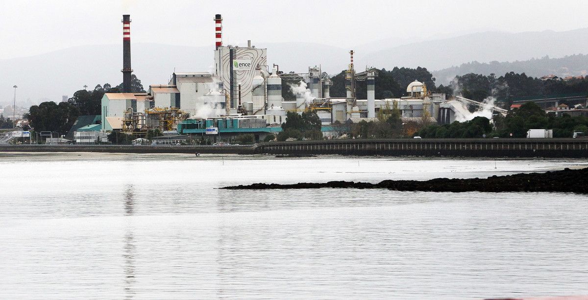 Fábrica de Ence en Lourizán