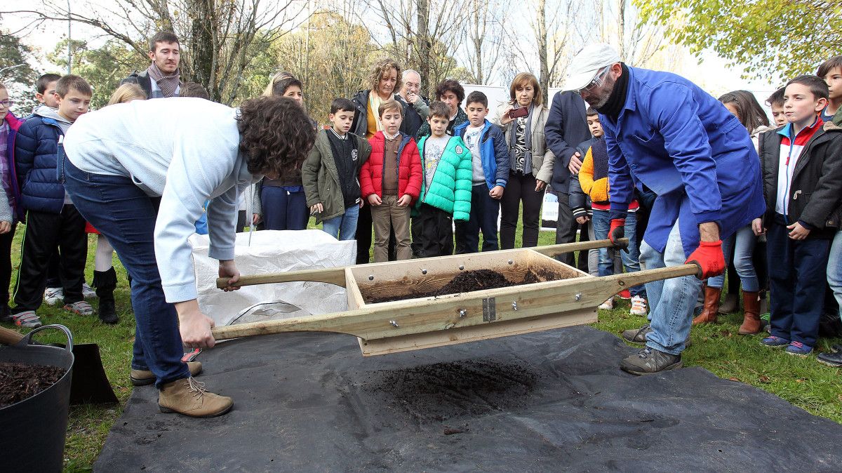 Los escolares del Marcos da Portela plantan árboles con el compost de Monte Porreiro