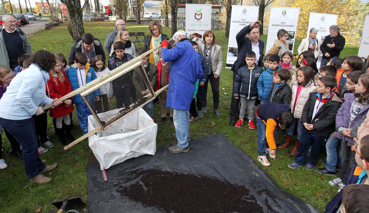 Los escolares del Marcos da Portela plantan árboles con el compost de Monte Porreiro